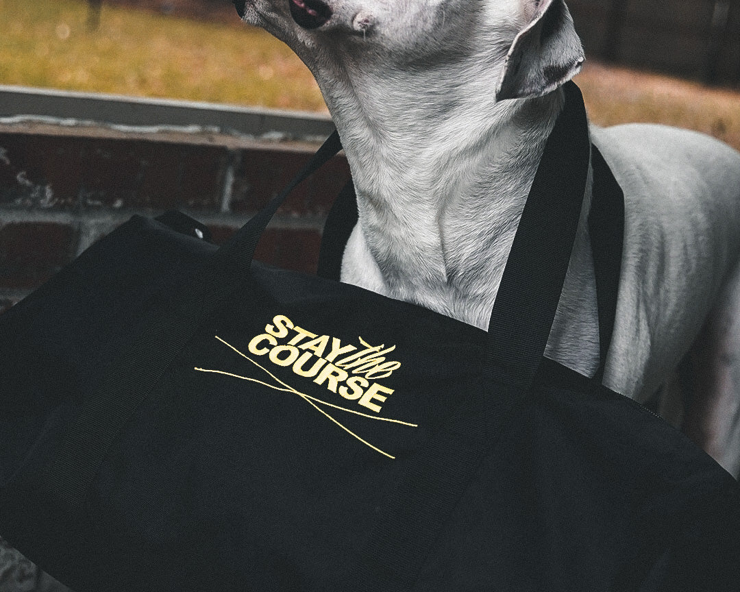 Dog standing next to a black bag with 'Stay the Course' text, outdoors.