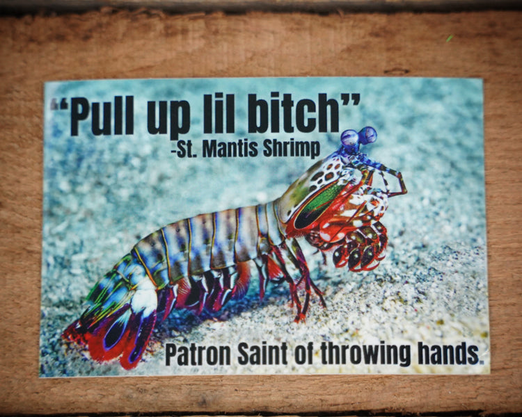 Mantis Shrimp Sticker