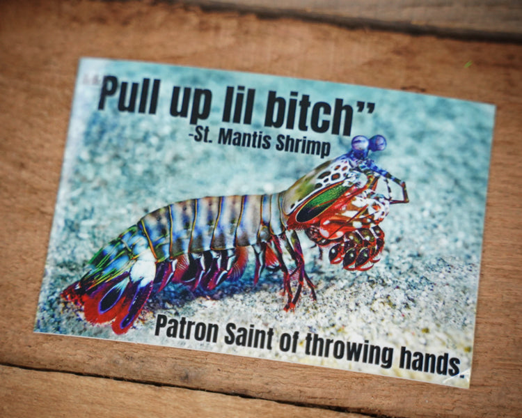 Mantis Shrimp Sticker 1