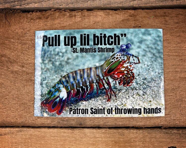 Mantis Shrimp Sticker 2