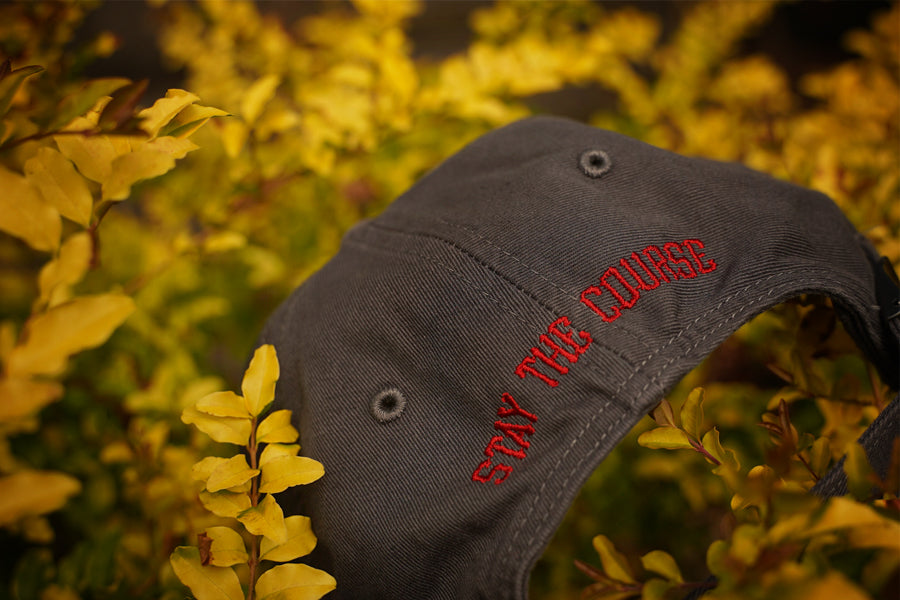 Field Worn Cap / Gray 3