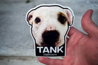 Hand holding a sticker with a dog's face and the name 'Tank' on a blurred background