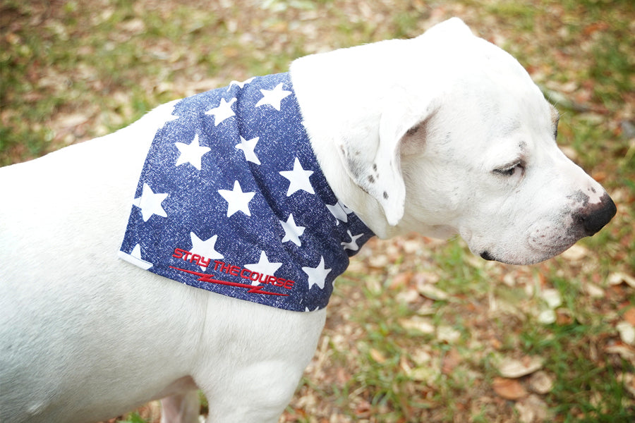 Dog Bandana