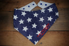 Dog Bandana 4