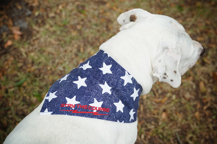 Dog Bandana 8