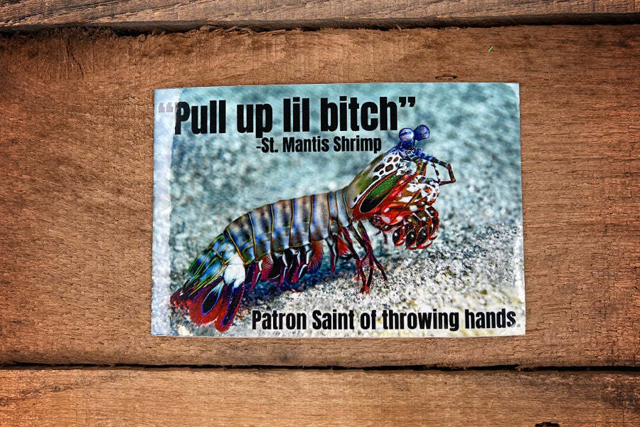 Mantis Shrimp Sticker