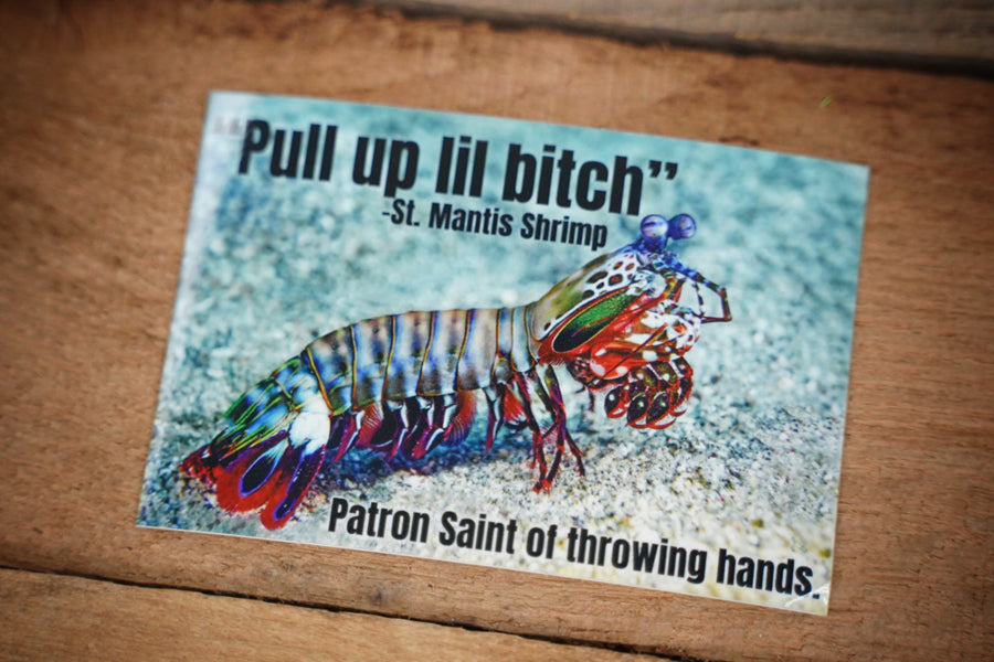 Mantis Shrimp Sticker 1